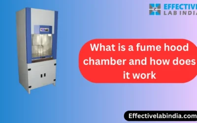 What is a fume hood chamber and how does it work?