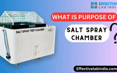 What is the purpose of the Salt spray test?