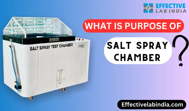 What is the purpose of the Salt spray test