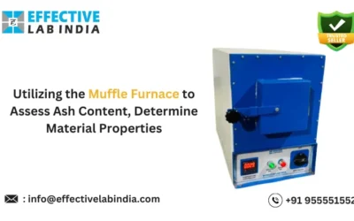 Utilizing the Muffle Furnace to Assess Ash Content, Determine Material Properties